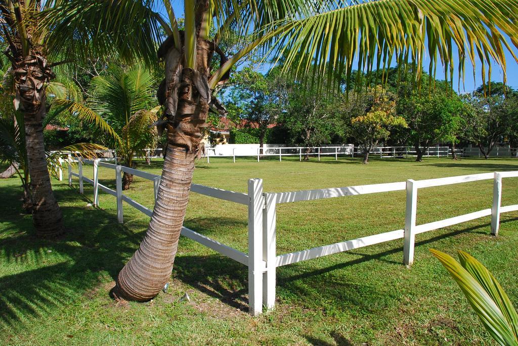 La Finca Miami Dış mekan fotoğraf