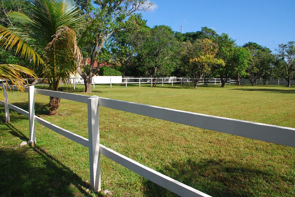 La Finca Miami Dış mekan fotoğraf